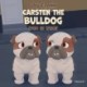 Carsten the Bulldog -1: Who is Who?