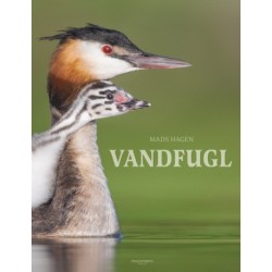 Vandfugl