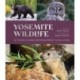 Yosemite Wildlife: The Wonder of Animal Life in California's Sierra Nevada