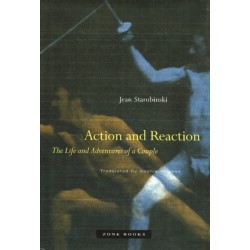 Action and Reaction: The Life and Adventures of a Couple
