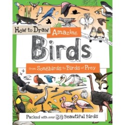How To Draw Amazing Birds