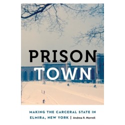 Prison Town: Making the Carceral State in Elmira, New York