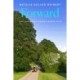 Forward: A Novel