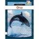 Orca