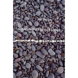 Numinous Seditions: Interiority and Climate Change