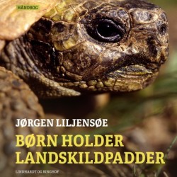 Børn holder landskildpadder
