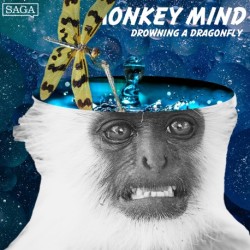 Drowning a Dragonfly