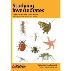 Studying Invertebrates