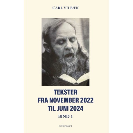 Tekster fra november 2022 til juni 2024 bind 1 