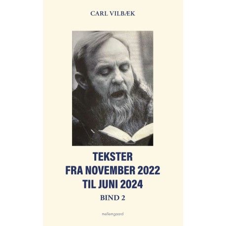 Tekster fra november 2022 til juni 2024 bind 2