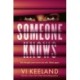 Someone Knows: A gripping thriller with a twist you'll never guess