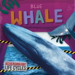 Blue Whale