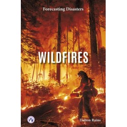 Wildfires