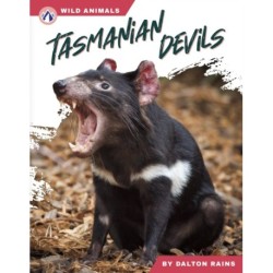 Tasmanian Devils