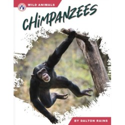 Chimpanzees