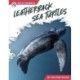 Leatherback Sea Turtles