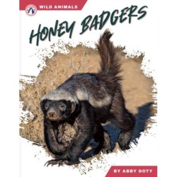 Honey Badgers