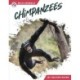 Chimpanzees