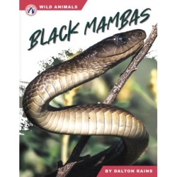 Black Mambas