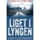 Liget i lyngen: Agnes Hillstrøm 1