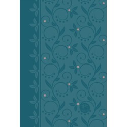 The Passion Translation New Testament with Psalms Proverbs and Song of Songs (2020 Edn) Compact Teal Faux Leather