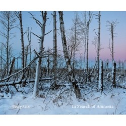 In Search of Amnesia