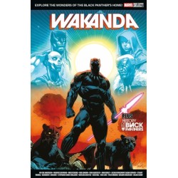 Marvel Select - Wakanda