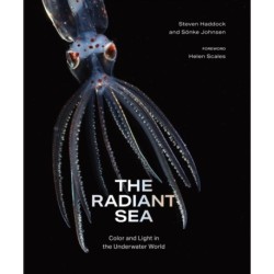 The Radiant Sea: Color and Light In the Underwater World