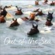 Out of the Sea: Today's Chincoteague Pony (2nd Edition)