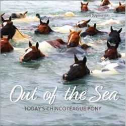 Out of the Sea: Today's Chincoteague Pony (2nd Edition)