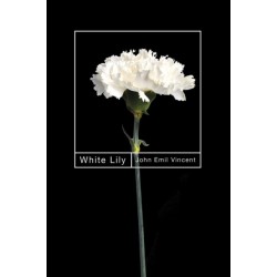 White Lily