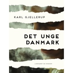 Det unge Danmark