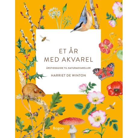 Et år med akvarel: Årstidsguide til naturakvareller