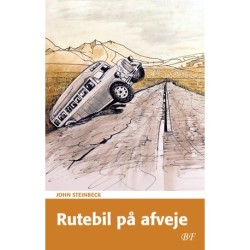 Rutebil på afveje