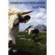 Københavnergrøn - Guiden: 100 grønne oplevelser i København