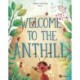 Welcome to the Anthill