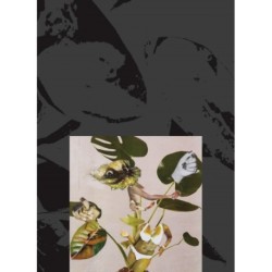 Kandis Williams: A Surface