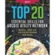 Top 20 Essential Skills for ArcGIS Utility Network