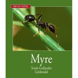 Myre