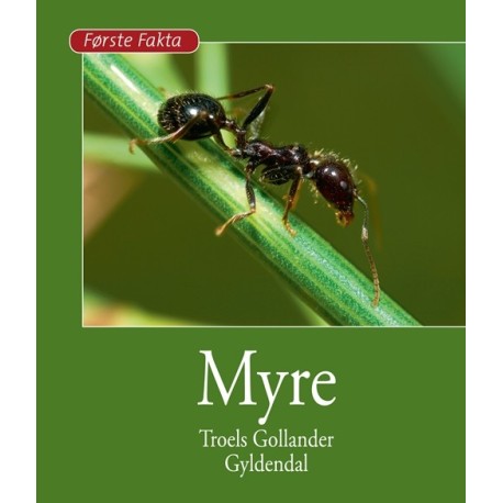 Myre