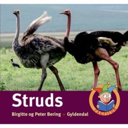 Struds