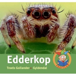 Edderkop