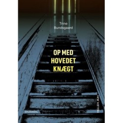 Mellem_rum. Op med hovedet knægt