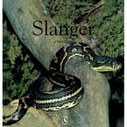 Slanger