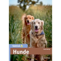 Hunde