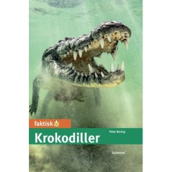 Krokodiller