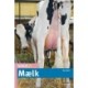 Mælk