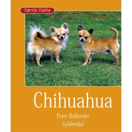 Chihuahua