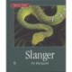 Slanger