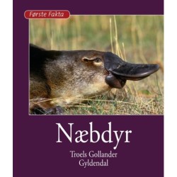 Næbdyr